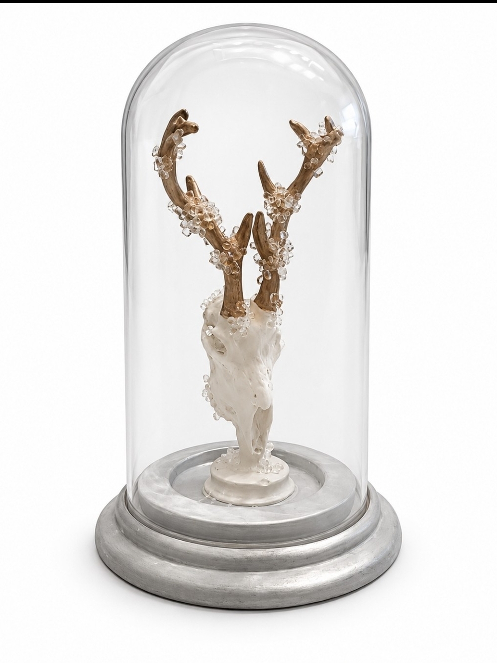 Ashland Haunted Forest Skull Antler Cloche Gothic Halloween Decor